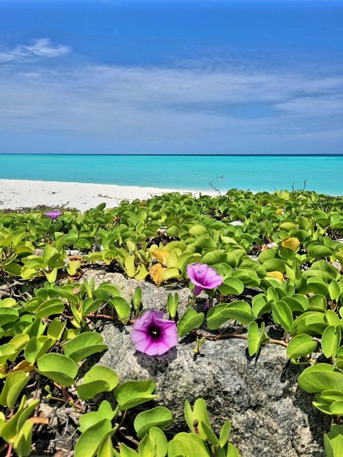 Ocean Breeze Maldives Hotel Thulusdhoo Exterior foto
